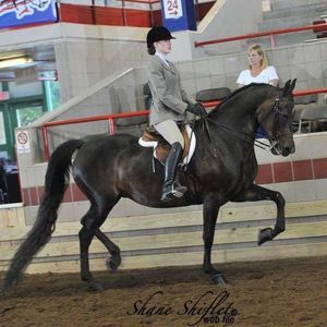 Meet your Posher, Melanie